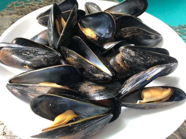 Restaurant Ready® Whitewater Mussel® - 10 lb. bag